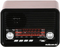 Радиоприемник Ritmix RPR-030 (черный/бордовый)