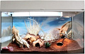 Террариум Lucky Reptile Стартовый комплект для гекконов SK50DG-W (белый)