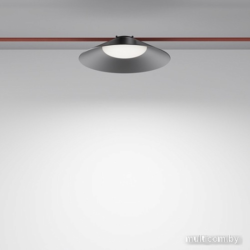 Точечный светильник Maytoni Campana TR127B-12W4K-B