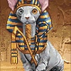 Алмазная мозаика Wizardi Кот фараон 2WD2511