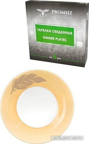 Набор обеденных тарелок Promsiz EC444-328/S/Z/6