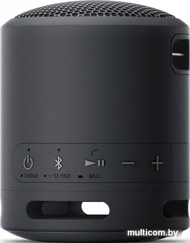 Беспроводная колонка Sony SRS-XB13 (черный)