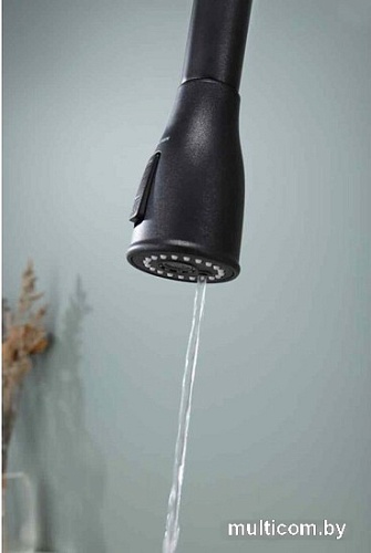 Смеситель Paulmark Lange La214212-418 (черный металлик)