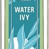 Brocard Water Ivy EdT (55 мл)