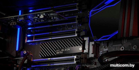 SSD WD Black SN750 1TB WDS100T3XHC