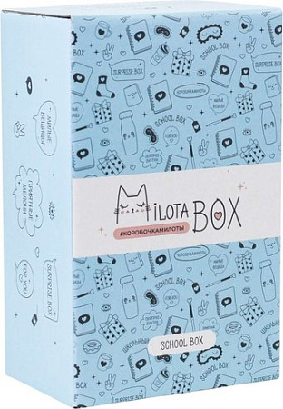 Подарочный набор Milota Box School Mini MBS019