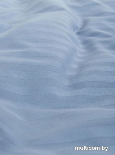 Постельное белье GoodNight Pure Страйп-сатин 2сп 417442 (синий)