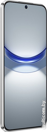 Смартфон Huawei nova 12s FOA-LX9 8GB/256GB (белый)