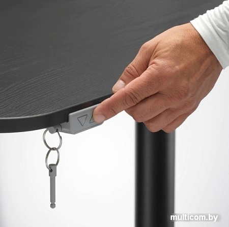 Письменный стол Ikea Бекант (ясеневый шпон, черная морилка/черный) 592.823.90