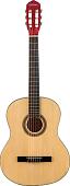 Акустическая гитара DaVinci DC-70A NA