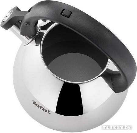 Чайник со свистком Tefal K2481574