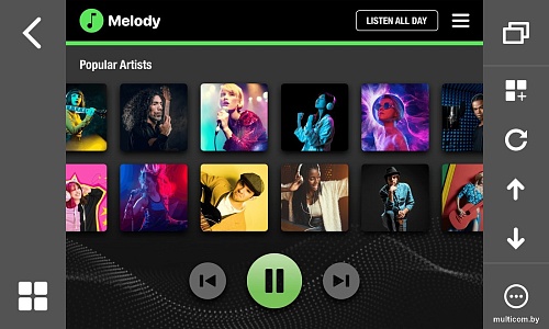 USB-магнитола Pioneer DMH-A6650BT