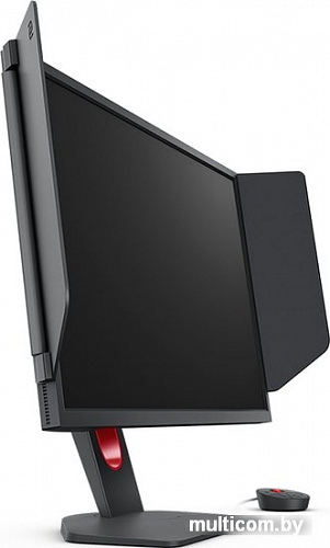 Монитор BenQ Zowie XL2546K