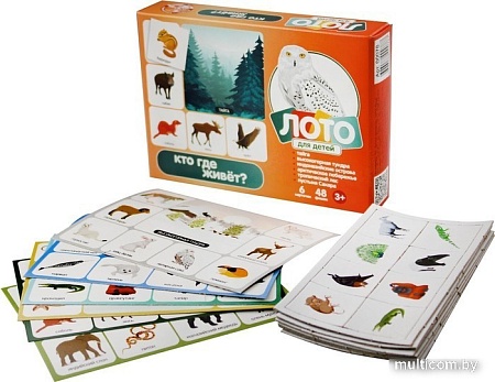 Развивающая игра Десятое королевство Кто где живет? 00078
