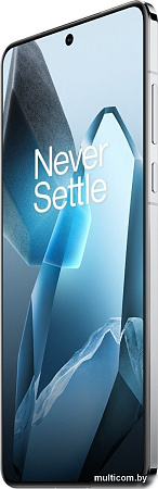 Смартфон OnePlus 13 16GB/512GB международная версия (синий)