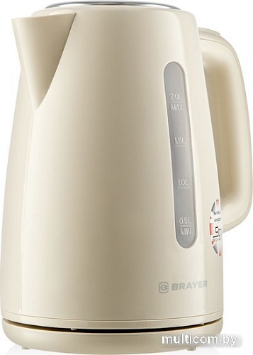 Электрический чайник Brayer BR1069