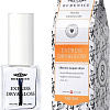 Лак Berenice 2 в 1 Сушка+блеск Express dry&amp;gloss