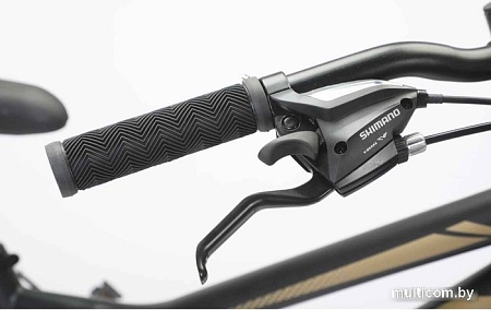 Велосипед Delta Street 24 2401 (черный/золотистый)