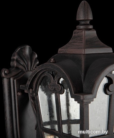 Уличный настенный светильник Maytoni Albion O413WL-01BZ1