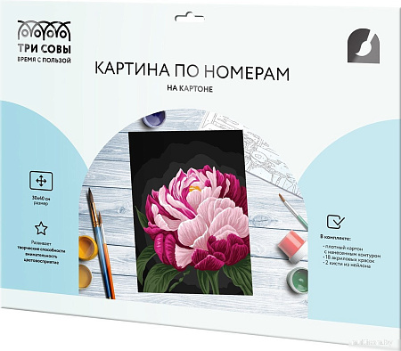 Три совы Цвет пиона КК_53817