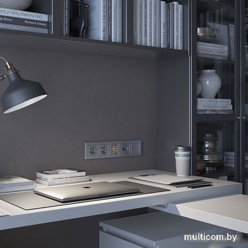 Накладка для розетки Werkel W1291106 a052072