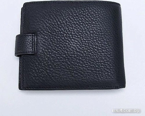 Кошелек Francesco Molinary 678-1660-BLK (черный)