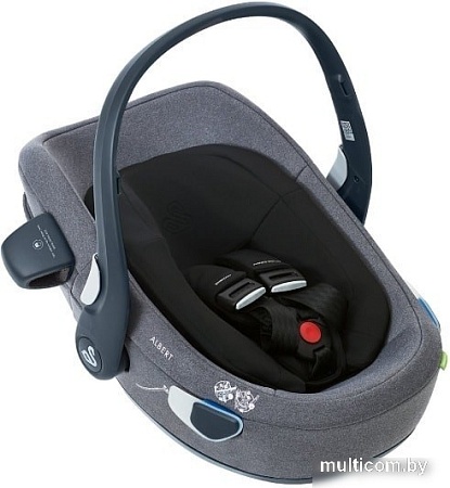 Детское автокресло Swandoo Albert (без базы, fruits)