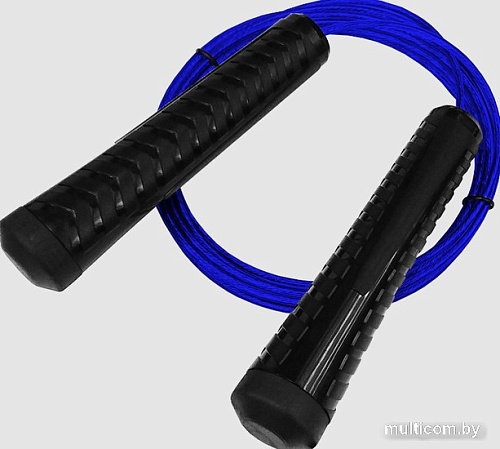 Скакалка Profitnesslab 13908 (3м, синий)