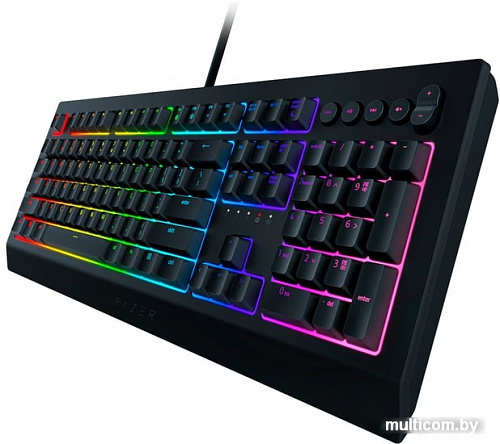 Клавиатура Razer Cynosa v2