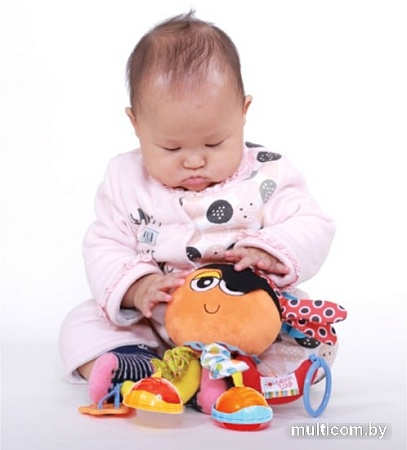 Погремушка Biba Toys Пират Джек OC165