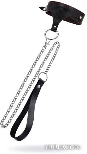 Ошейник Pecado 3112