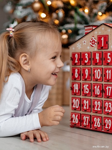 Woody Дом цветной на 31 день 05667