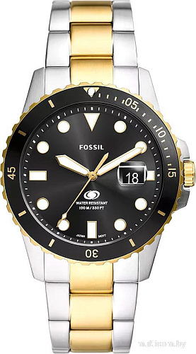 Наручные часы Fossil FS6031