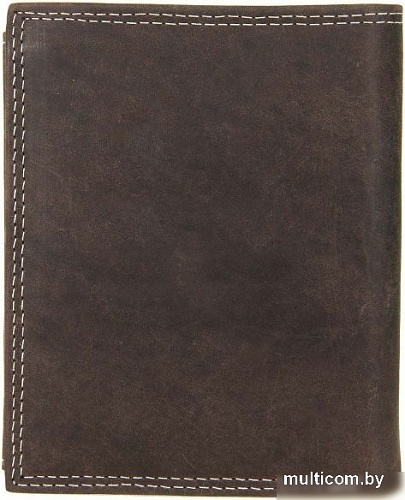 Портмоне Wild Tiger AM-28-034 (темно-коричневый)