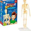 Набор для опытов Bondibon Японские опыты. Человек. Кости и мышцы ВВ4728