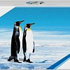Картридж G&amp;G GG-CE272A (аналог HP CE272A)