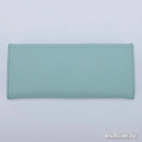Портмоне Poshete 604-053M-MNT (светло-зеленый)