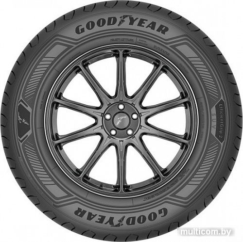 Автомобильные шины Goodyear EfficientGrip 2 SUV 235/55R19 105V