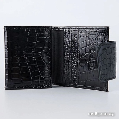 Кошелек Poshete 604-081ET-BLK (черный)