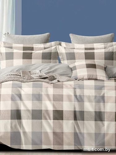 Постельное белье GoodNight Сатин Делюкс 2508 Дуэт 436722 (50x70, с компаньоном)