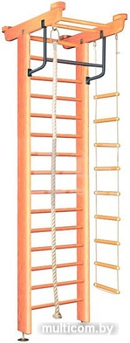 Детский спортивный комплекс Карусель 2Д.05.01 (светлый)