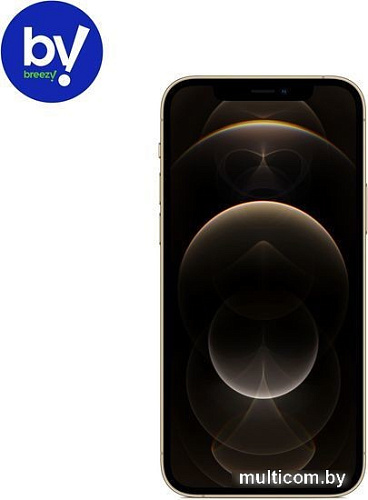 Смартфон Apple iPhone 12 Pro 128GB Восстановленный by Breezy, грейд A (золотистый)
