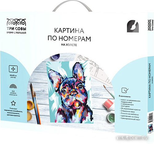 Картина по номерам Три совы Яркий французский бульдог КХ_44171