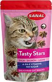 Лакомство для кошек Sanal Tasty Stars Salmon с лососем 40 г