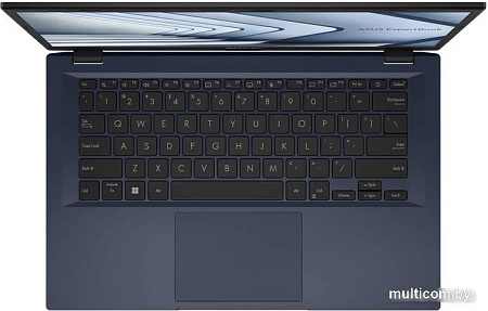 Ноутбук ASUS ExpertBook B1 B1402CBA-EB3490