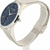 Наручные часы Pierre Cardin PC902671F201