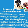 Сухой корм для собак Runner Junior для щенков всех пород 10 кг
