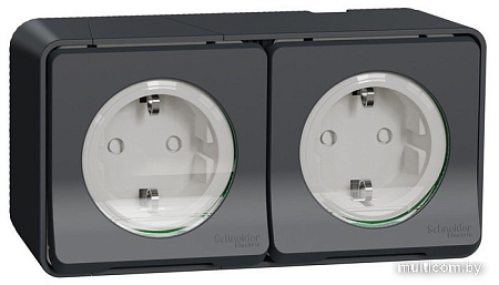 Розетка Schneider Electric MUR36029
