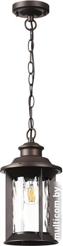 Уличный подвесной светильник Odeon Light Mavret 4961/1