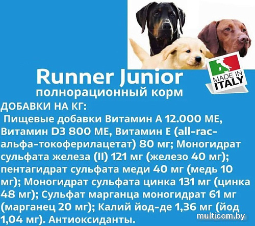 Сухой корм для собак Runner Junior для щенков всех пород 10 кг